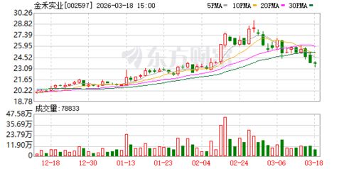 降本增效与务实投资 解析金禾实业的长期发展逻辑